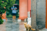 天猫数据：打开电商新世界的钥匙